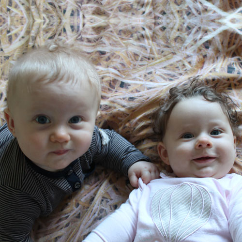 Familie und andere Katastrophen