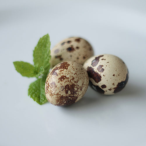 Jetzt auch in neuer Geschmacksrichtung erhältlich